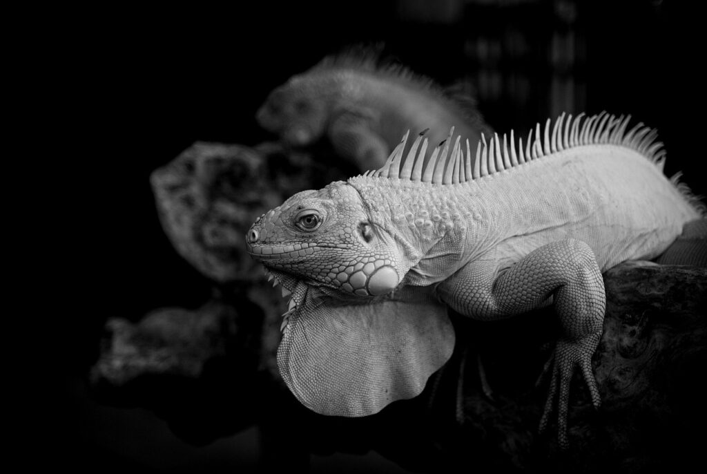 ASDの診断において医師との相談は予約が必要？