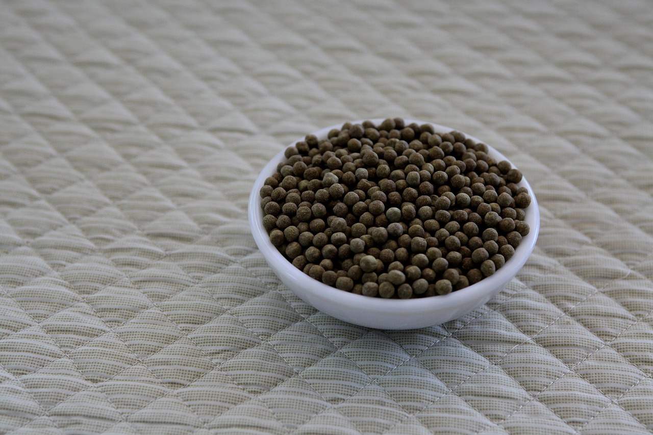 ASDの子どもが集団行動が苦手な理由と対策は？