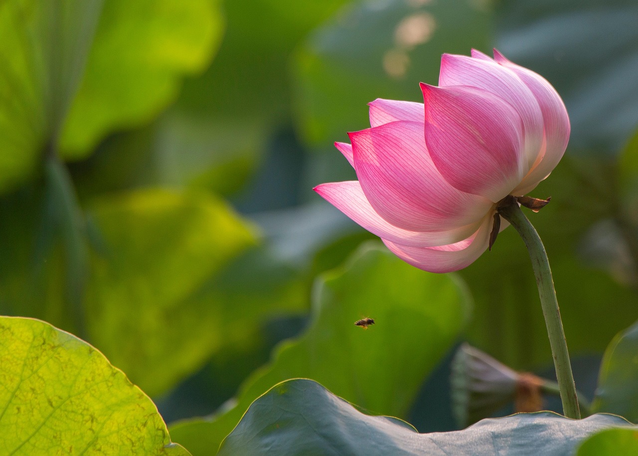 ASDの子供について相談するべきサインはかもしれない？