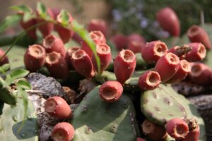 ASDの子どもが持つ感覚過敏とはどのようなものか？