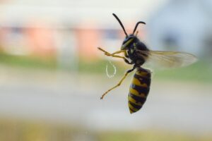 ASD手帳取得のための必要なステップは？