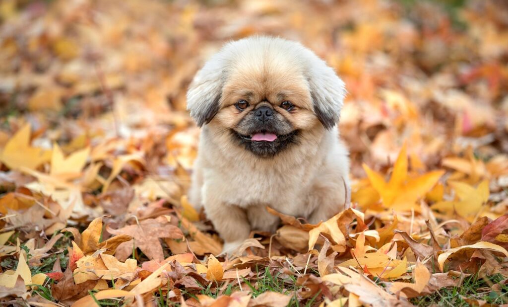 対面が必要なケースとはどんな時に該当するのか？