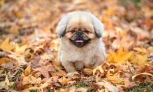 対面が必要なケースとはどんな時に該当するのか？