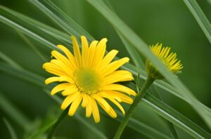 ASDに関する悩みを今日相談する方法は？