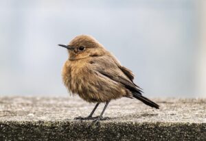 ASDのチャット相談は時間がどれくらいかかる？